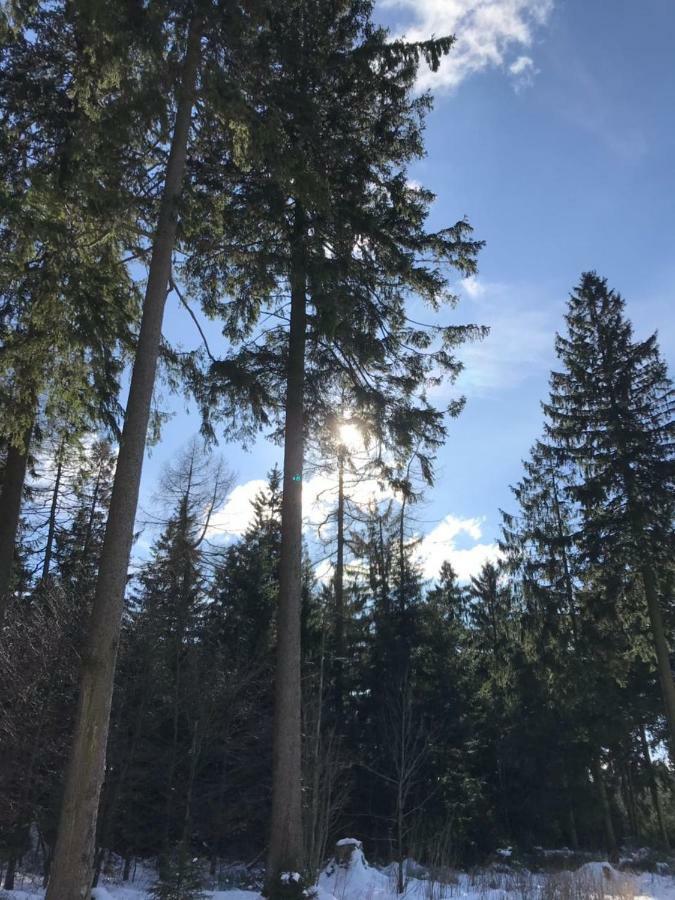 Hahnenklee Ferienpark 7-511 Goslar Exteriör bild