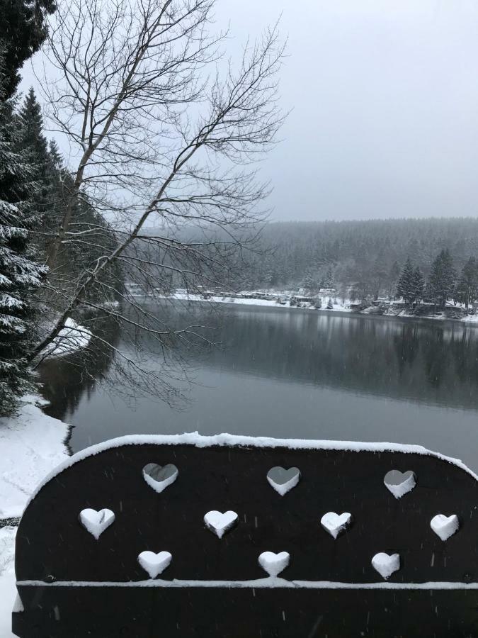 Hahnenklee Ferienpark 7-511 Goslar Exteriör bild