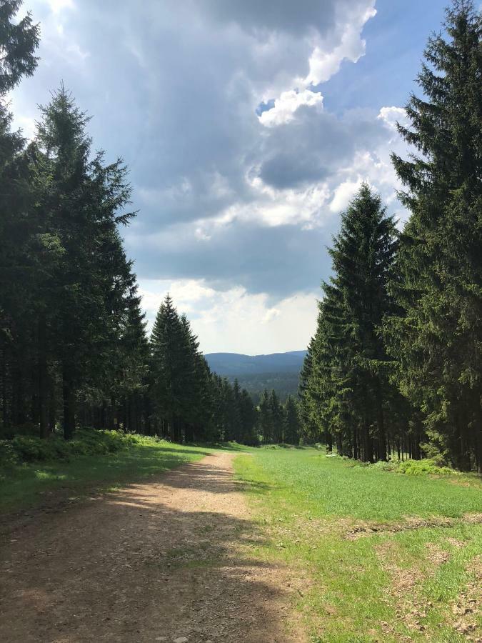 Hahnenklee Ferienpark 7-511 Goslar Exteriör bild