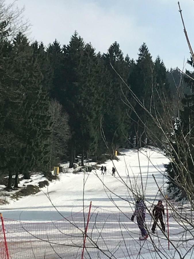Hahnenklee Ferienpark 7-511 Goslar Exteriör bild